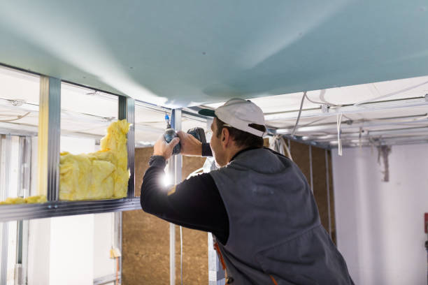 Best Blown-in Insulation  in Herricks, NY