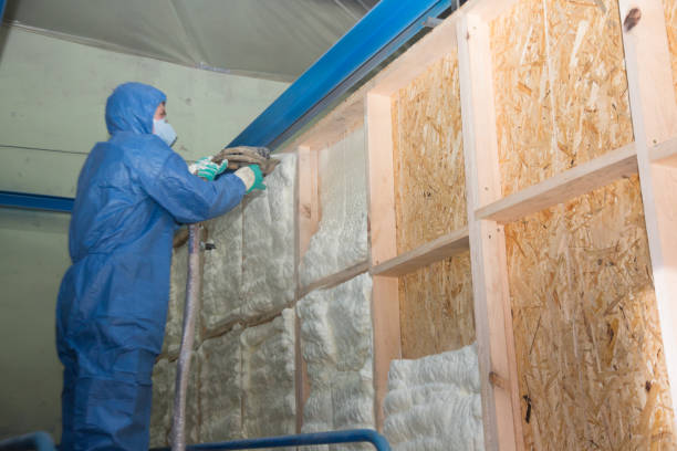 Best Crawl Space Insulation  in Herricks, NY