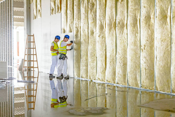 Best Professional Insulation Contractor  in Herricks, NY